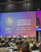 UN’s nature conservation body adopts Global Action Plan on Biodiversity and Health