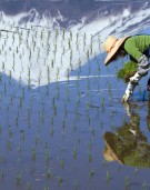 Major scientific report connects the dots between our pressing environmental challenges - biodiversity, food, water, health and climate