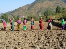 Cohab Initiative's new strategic plan is put into action